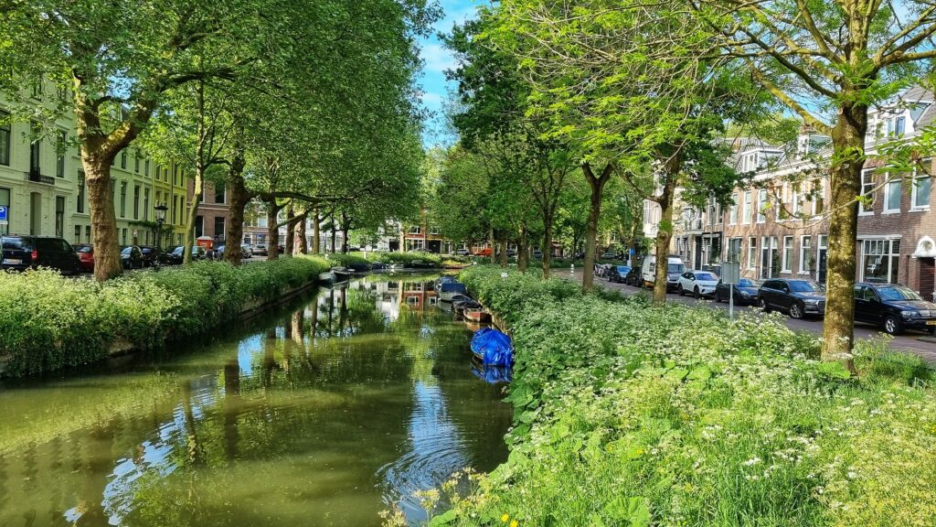 City Walking Tour of Utrecht